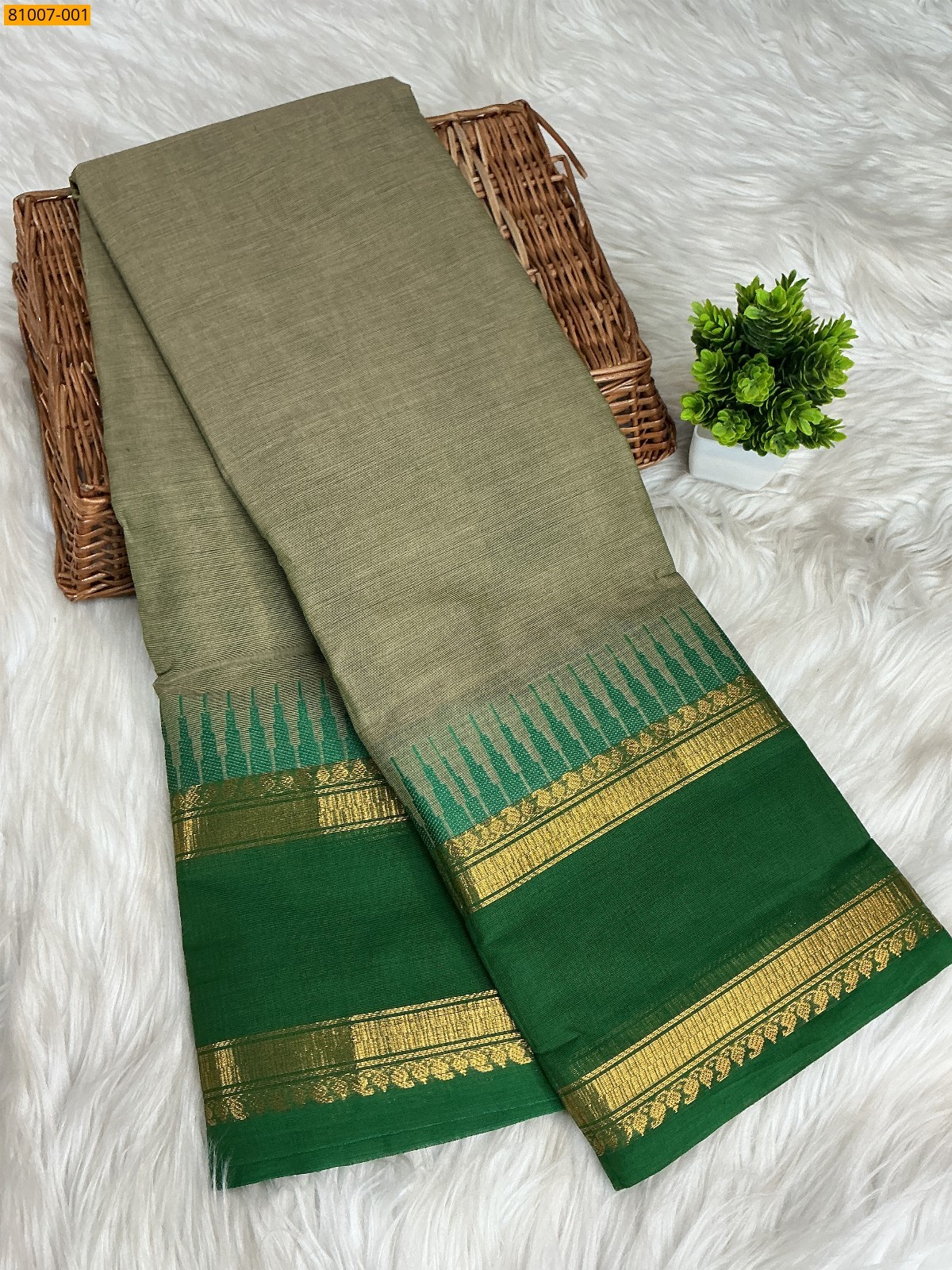 Light Green Kanchi Cotton Saree