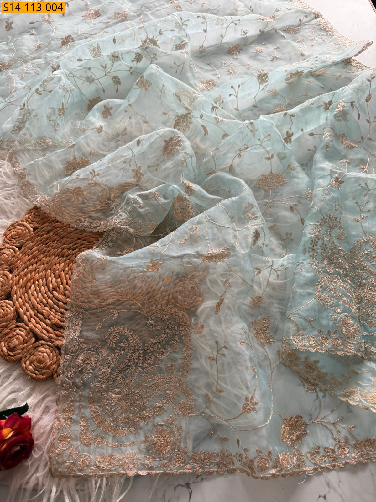 Light Blue Fancy Tissue Saree
