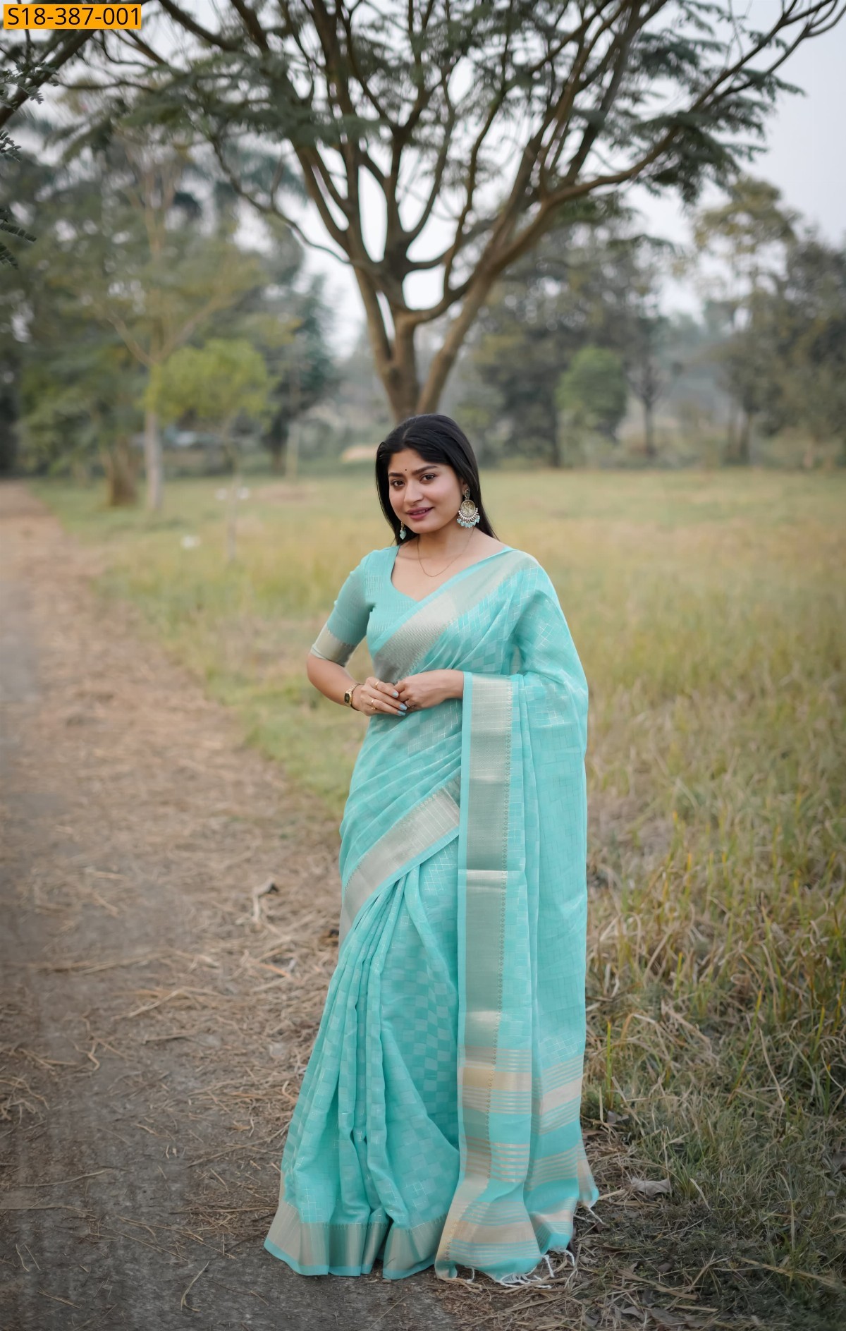Sky blue Soft kalyani Silk sarees