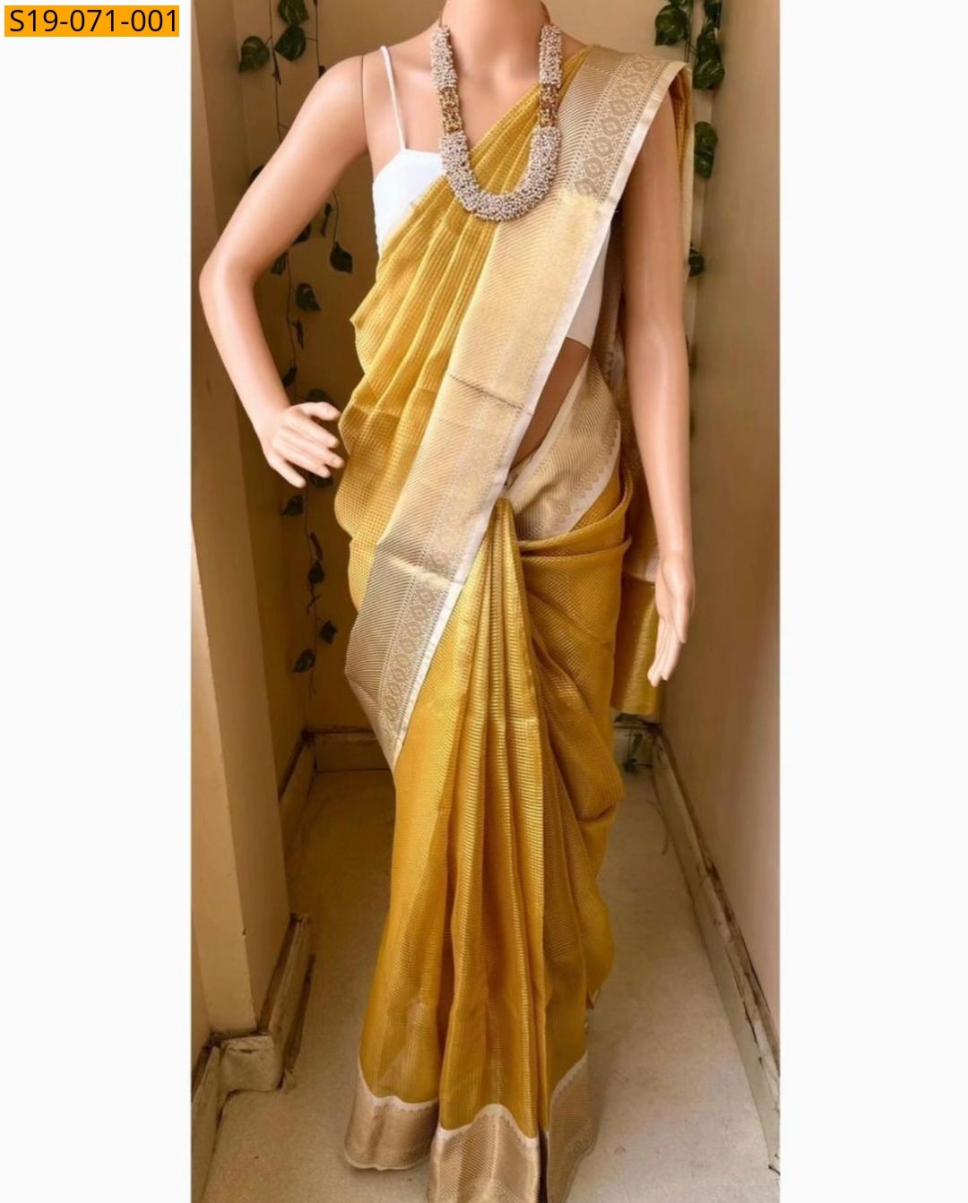 Gold Banarasi silk tissue saree