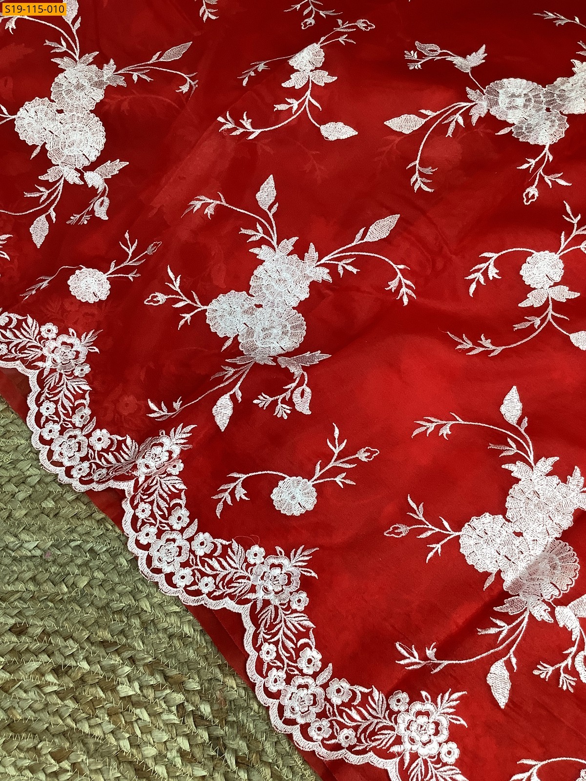 Red Fancy banarasi Organza saree