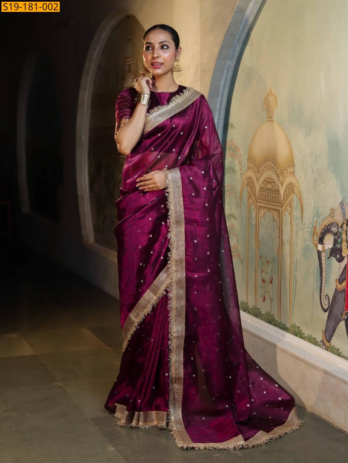 Wine Fancy Banarasi Tissue Saree