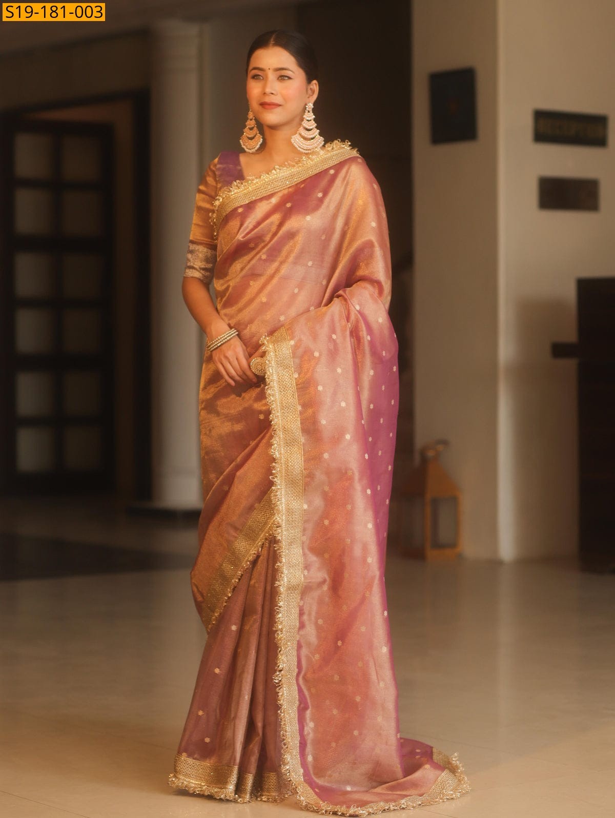 Peack Fancy Banarasi Tissue Saree