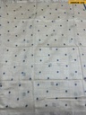 IMG_6619.jpeg
