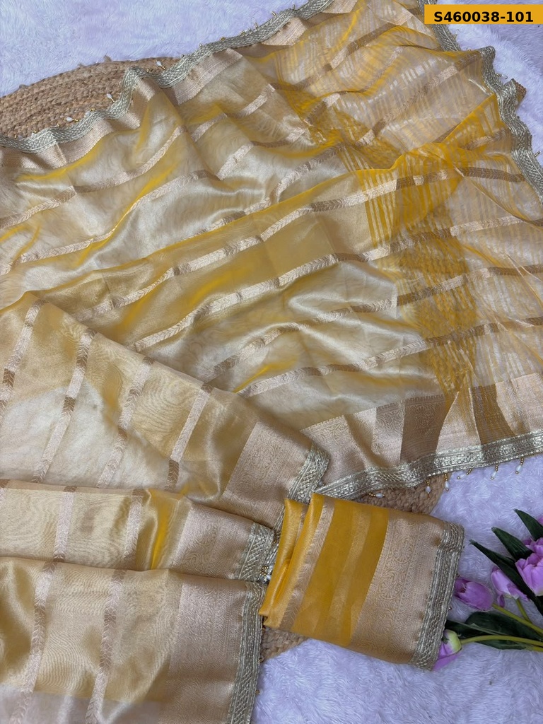 Fancy Organza Tissue Silk Saree