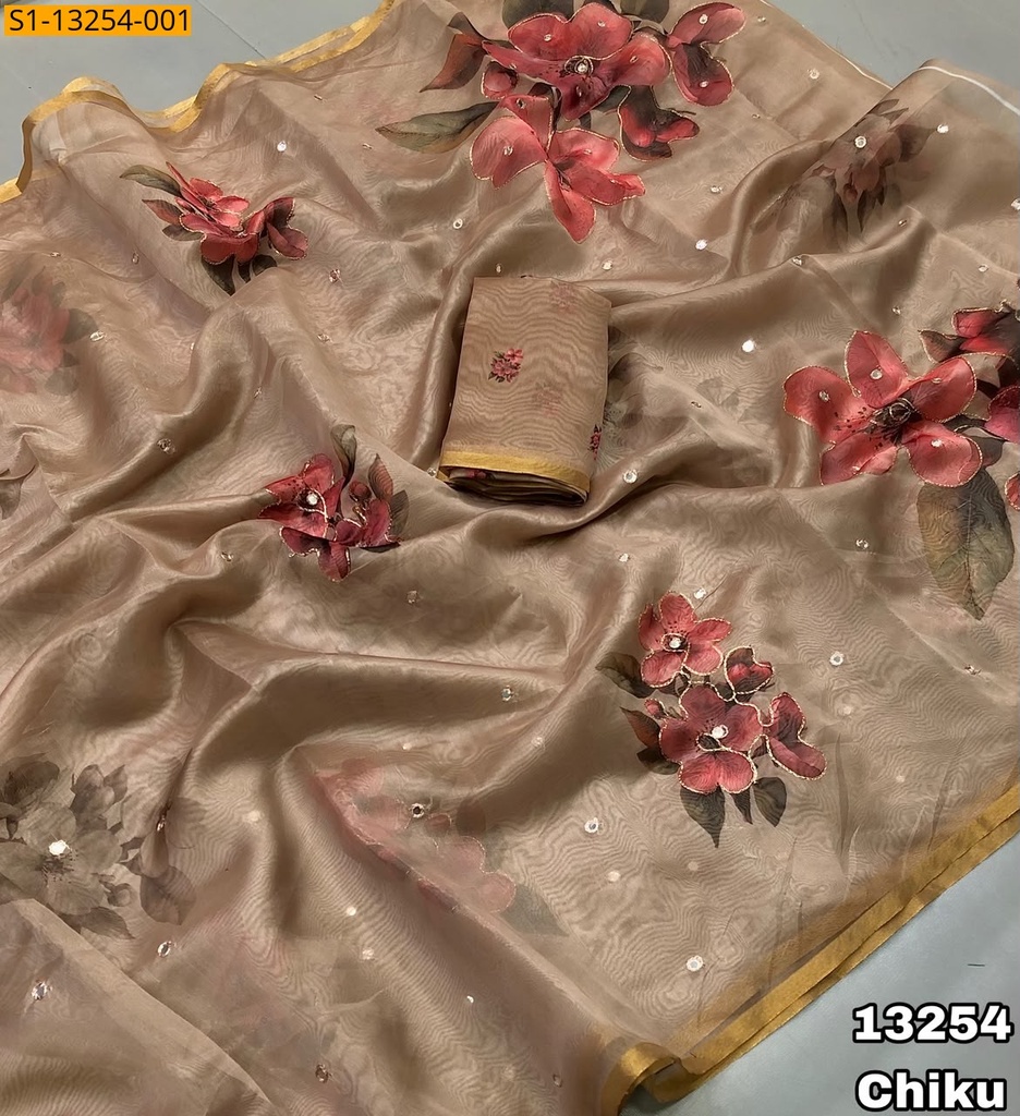 [S1-13254-101] Fancy Organza Saree