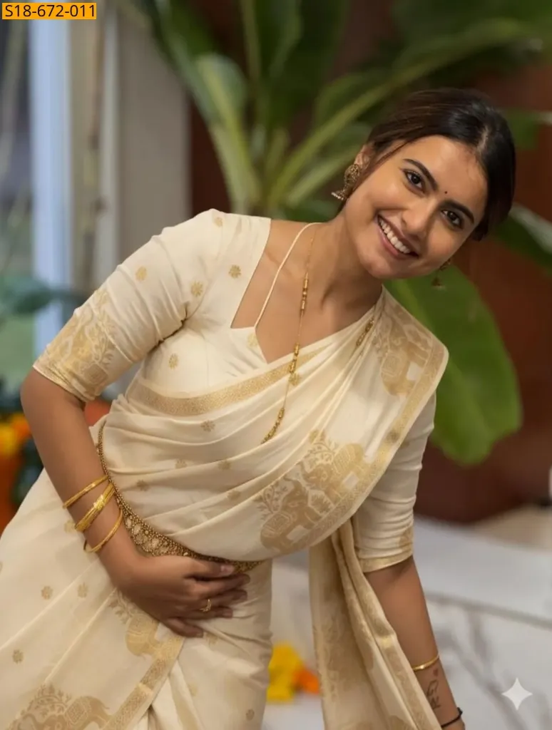 Fancy Muslin Silk Saree