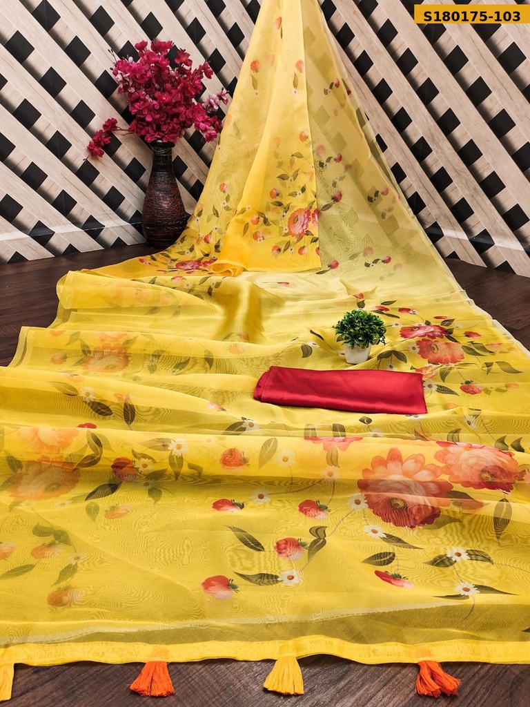 Fancy Organza Digital Print Saree