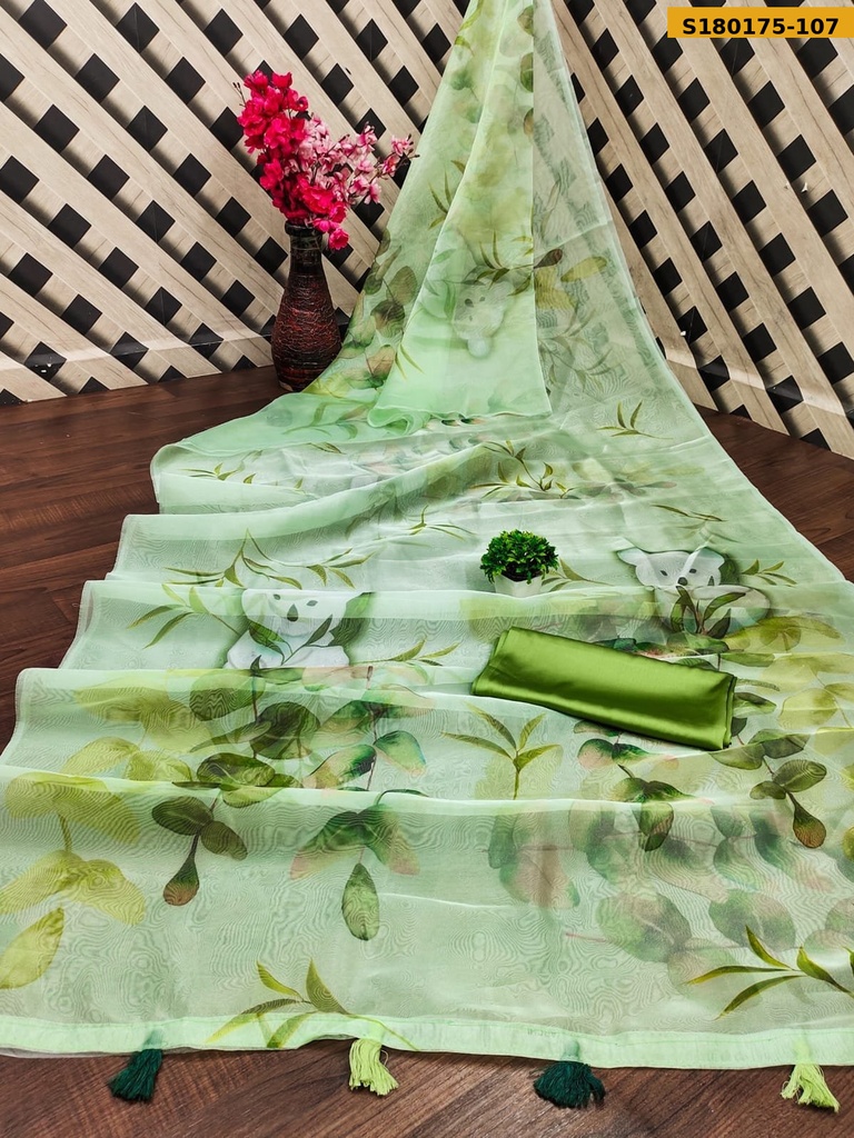 Fancy Organza Digital Print Saree